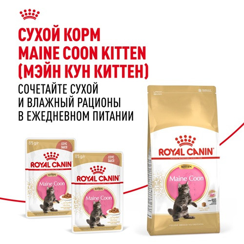 Royal Canin Maine Coon Kitten влажный корм для котят в соусе