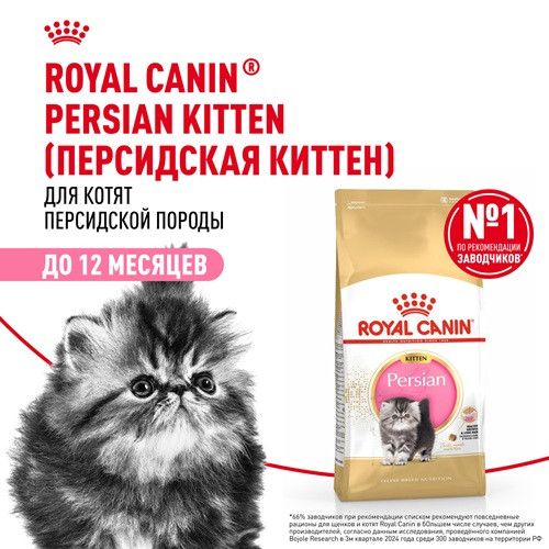 Royal Canin Persian Kitten сухой корм для котят персидской породы