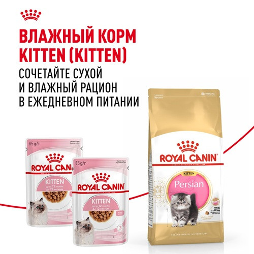 Royal Canin Persian Kitten сухой корм для котят персидской породы