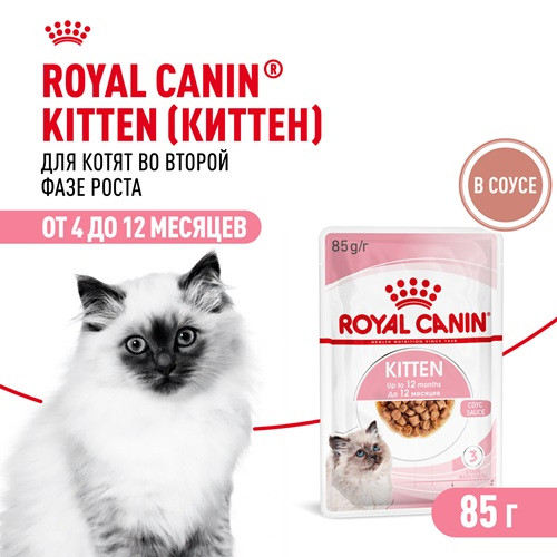 Royal Canin Kitten влажный корм для котят в соусе