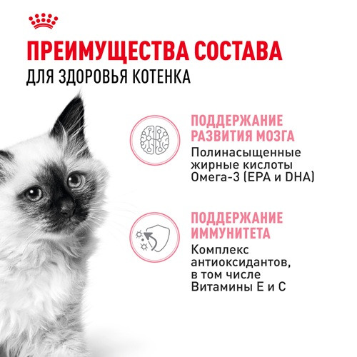 Royal Canin Kitten влажный корм для котят в соусе