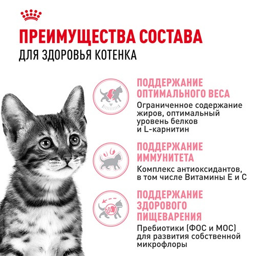 Royal Canin Kitten Sterilised сухой корм для стерилизованных котят