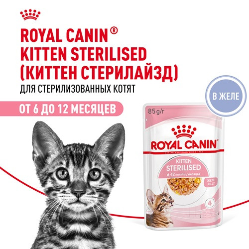 Royal Canin Kitten Sterilised влажный корм для котят в желе