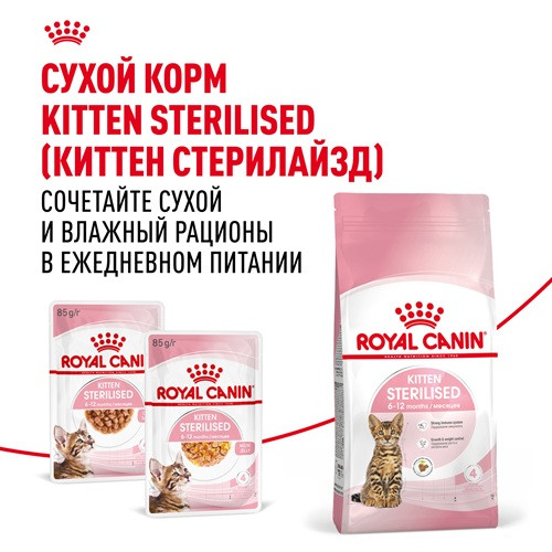 Royal Canin Kitten Sterilised влажный корм для котят в желе