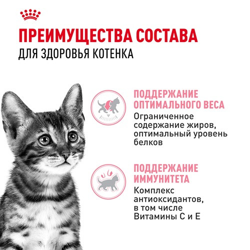 Royal Canin Kitten Sterilised влажный корм для котят в соусе
