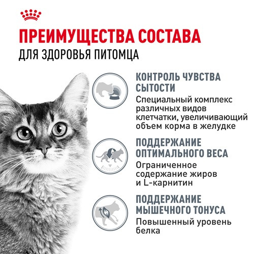 Royal Canin Light Weight Care влажный корм для кошек в желе