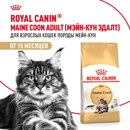 Royal Canin Maine Coon Adult сухой корм для кошек породы мэйн-кун