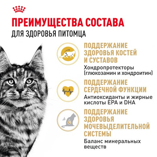 Royal Canin Maine Coon Adult сухой корм для кошек породы мэйн-кун