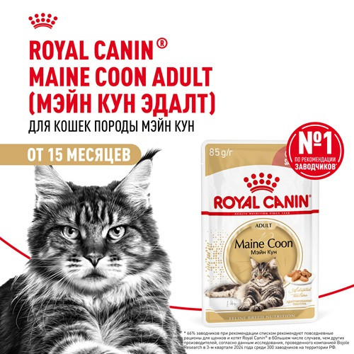 Royal Canin Maine Coon влажный корм для кошек в соусе