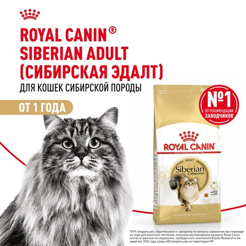 Royal Canin Siberian Adult сухой корм для кошек породы сибирская
