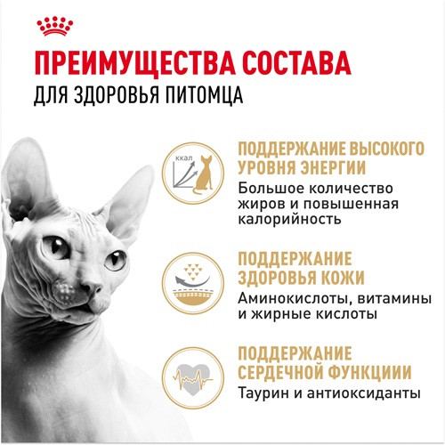 Royal Canin Sphynx Adult сухой корм для кошек породы сфинкс