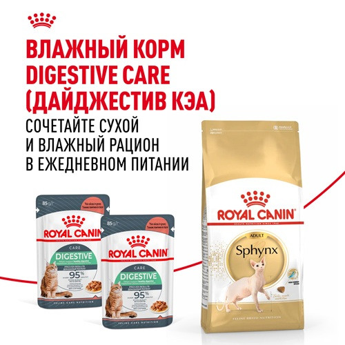 Royal Canin Sphynx Adult сухой корм для кошек породы сфинкс