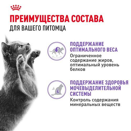 Royal Canin Sterilised влажный корм для кошек в желе