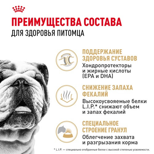 Royal Canin Bulldog Adult сухой корм для собак породы английский бульдог