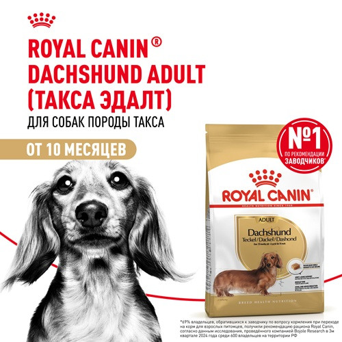 Royal Canin Dachshund Adult сухой корм для собак породы такса