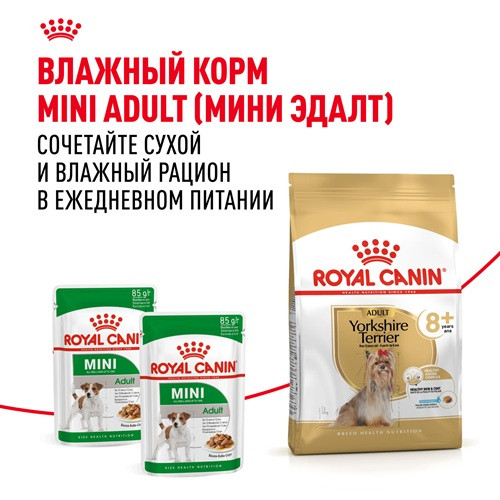 Royal Canin Yorkshire Terrier Adult 8+ сухой корм для собак породы йоркширский терьер