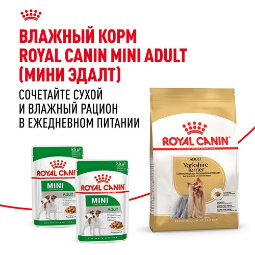 Royal Canin Yorkshire Terrier Adult сухой корм для собак породы йоркширский терьер
