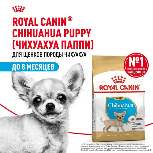 Royal Canin Chihuahua Puppy сухой корм для щенков породы чихуахуа