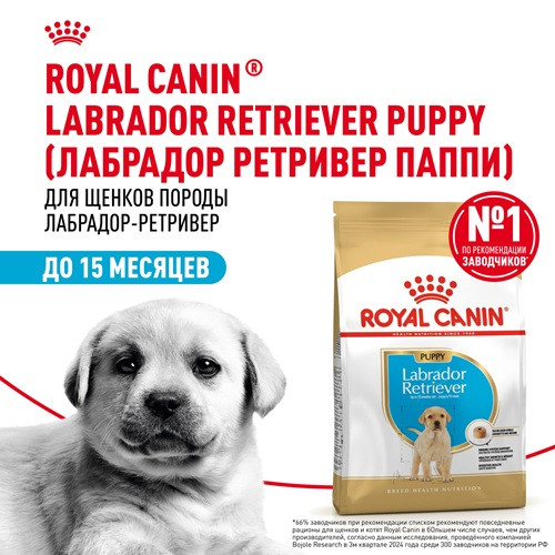 Royal Canin Labrador Retriever Puppy сухой корм для щенков породы лабрадор ретривер