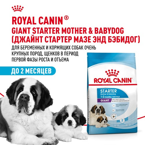 Royal Canin Giant Starter Mother & Babydog сухой корм для щенков гигантских пород