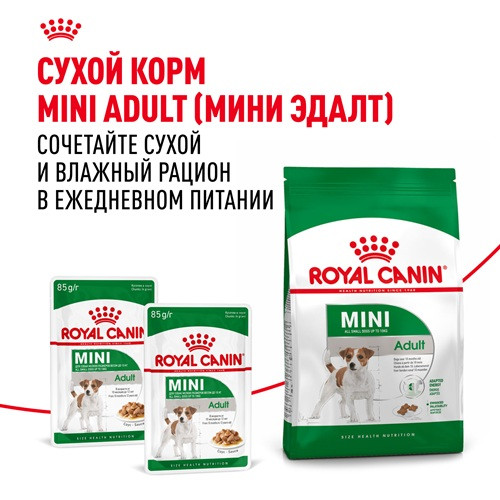 Royal Canin Mini Adult влажный корм для взрослых собак мелких пород