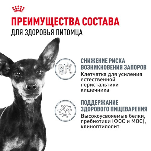 Royal Canin Mini Digestive Care сухой корм для собак мелких пород