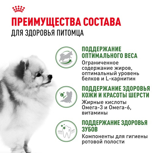 Royal Canin Mini Adult Indoor сухой корм для собак мелких пород