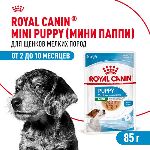 Royal Canin Mini Puppy влажный корм для щенков мелких пород